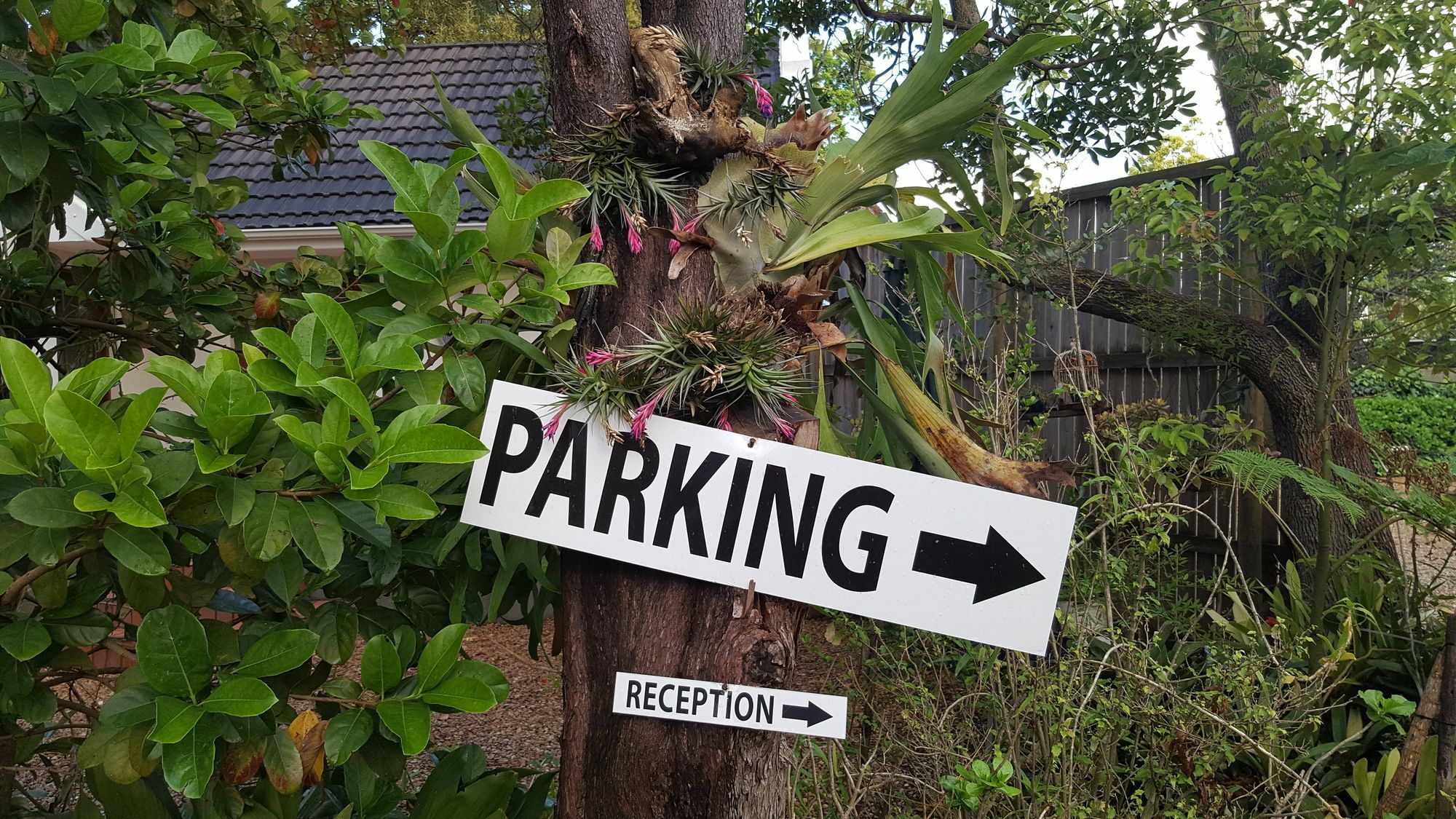 ホテル 9 Fern Rest ジョージ エクステリア 写真